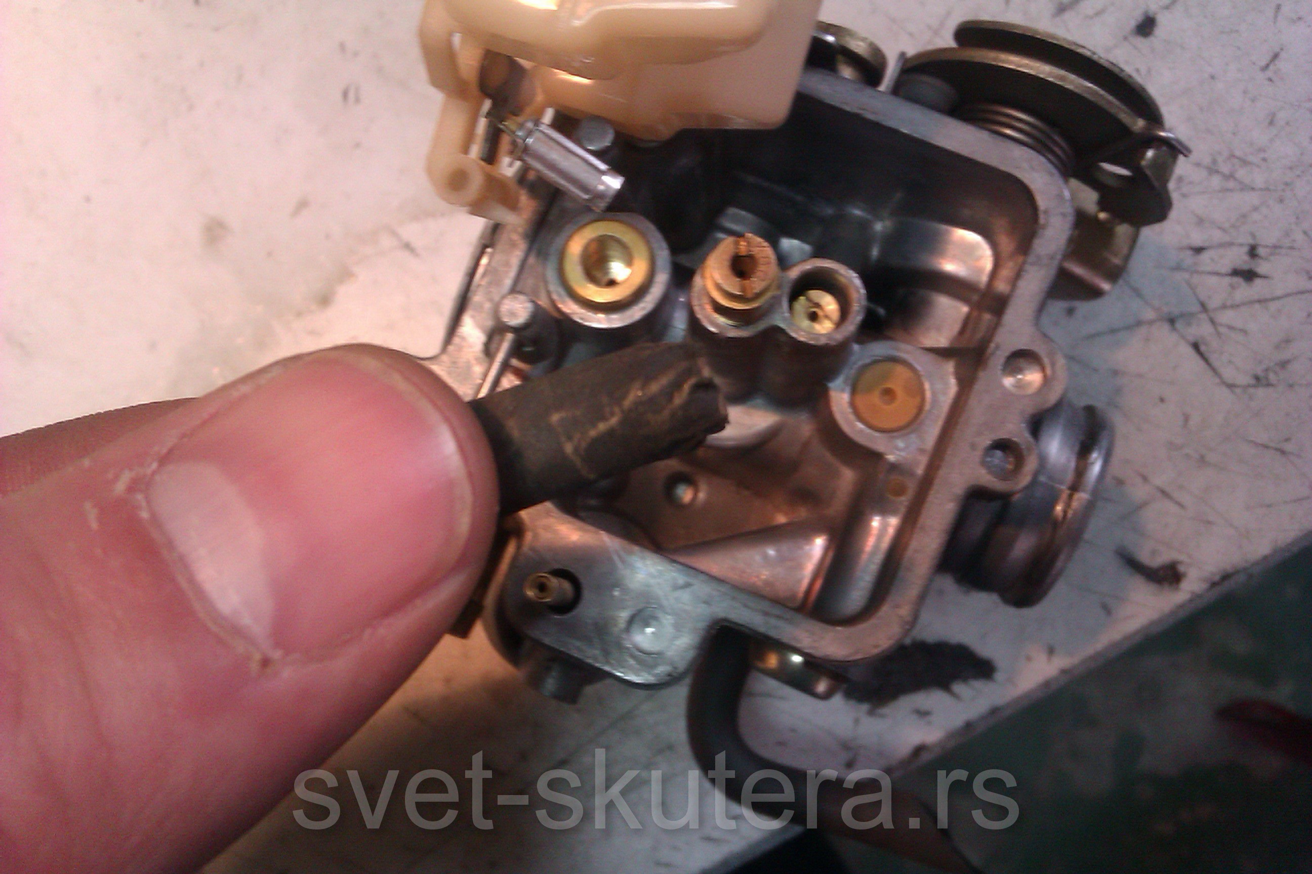 Posted Image
