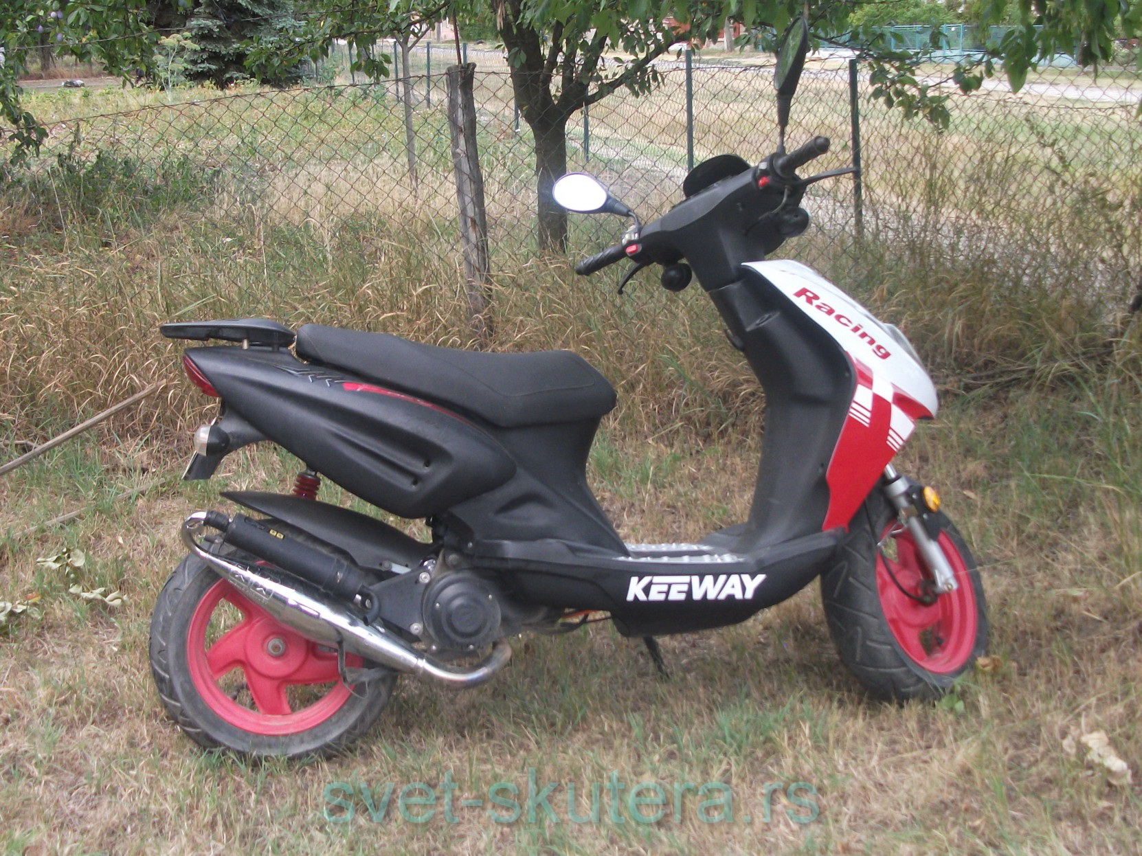 Posted Image