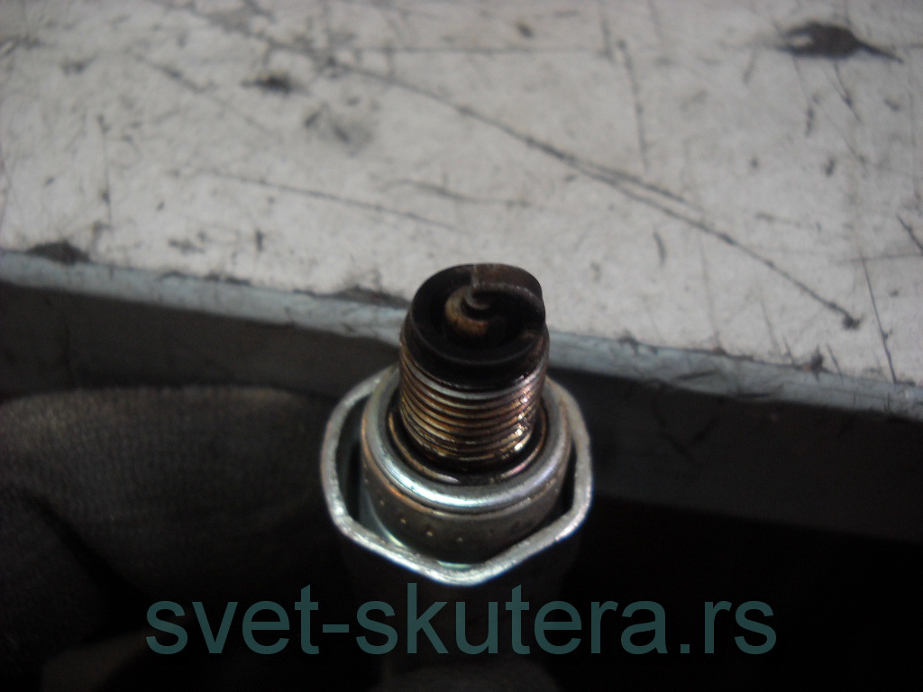 Posted Image