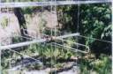 Yagi_BVO2-5wl_2.jpg